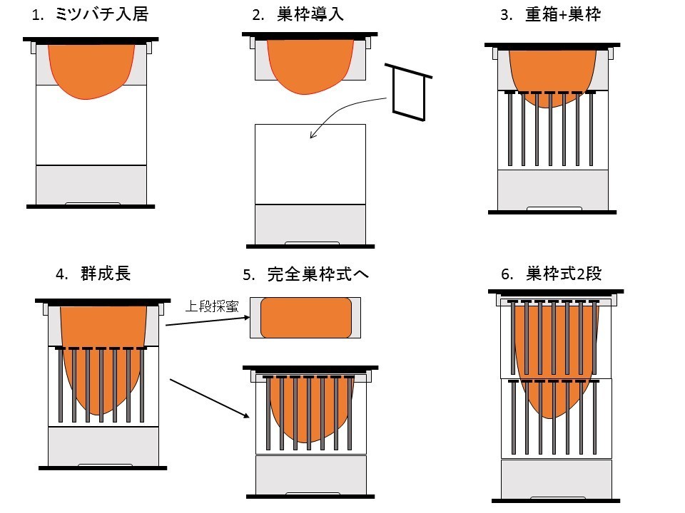 重箱→巣枠式へ移行するための巣箱2016バージョン: 太陽のしずく 大地の響